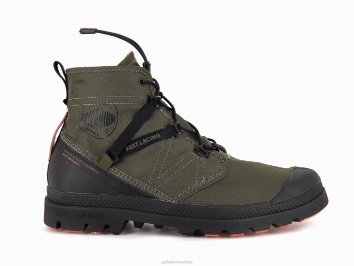 OLIVE NIGHT